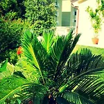 Relais Del Golfo Hotel 3*