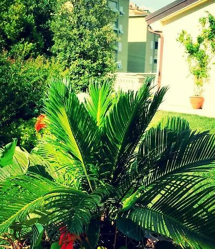 Relais Del Golfo Hotel 3*